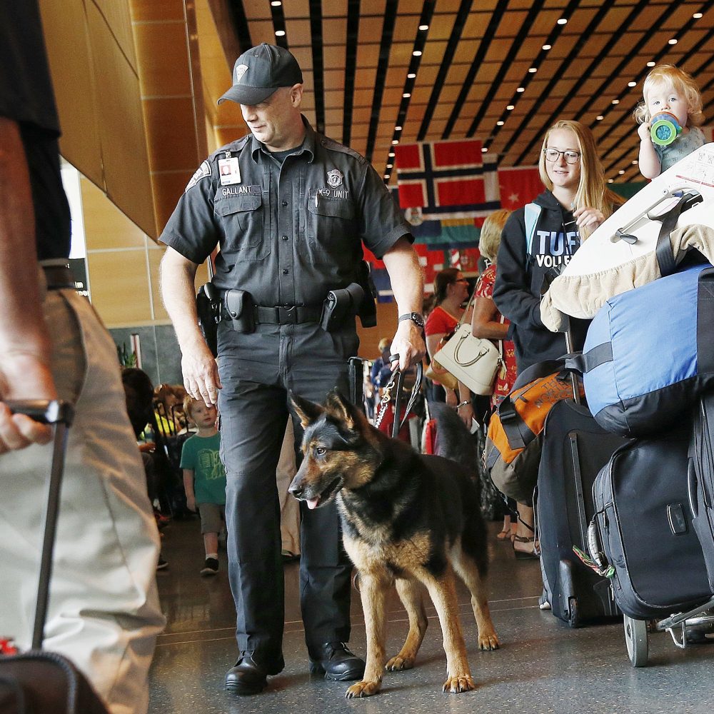 Massachusetts State Police officer Rob Gallant patrols with his bomb-sniffing dog Chico at Logan International Airport in Boston, Friday, July 1, 2016. Security at travel hubs have been increased this Independence Day holiday weekend after Tuesday's terrorist attacks at Istanbul's Ataturk International Airport. (AP Photo/Michael Dwyer)