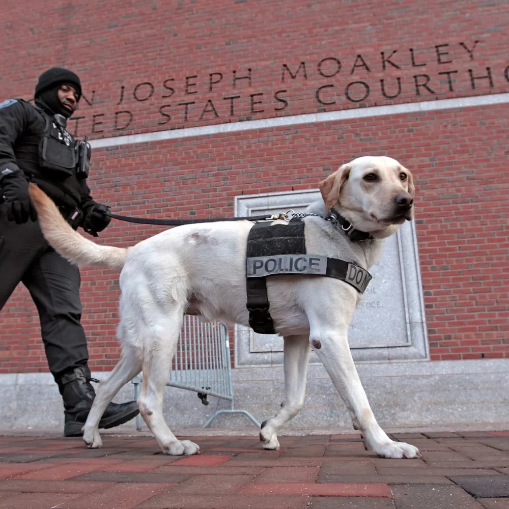 dog-bomb-squad-boston-marathon